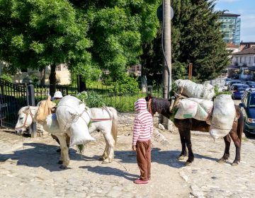 Albania 2017 22