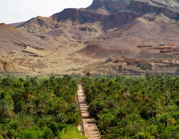 Marocco 2017 12